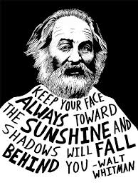 Haley McFadden (saoirsesalon)