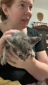 SomePurrlot angry emptied his solid waste tank