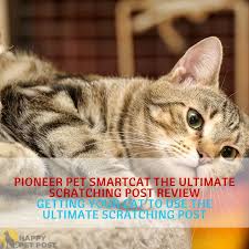 Pioneer Pet Smartcat The Ultimate Scratching Post Review Why Do Cats Purr Best Cat Scratching Post Pets