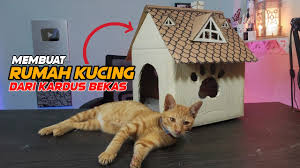 Cara membuat rumah kucing hello kitty kerajinan tangan 08 03 2019 hobikardus com tutorial dengan gambar dan video cara membuat tempat make up dari kardus. Membuat Rumah Kucing Dari Kardus Bekas Youtube
