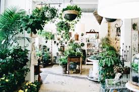 Visit Flora Boutique With Me Asheville Nc Flora Asheville Minimalist Home Decor