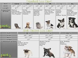 Shih Tzu Growth Chart Best Picture Of Chart Anyimage Org