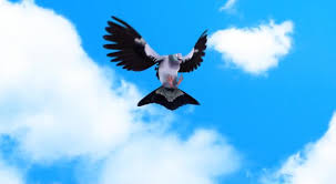 Ladybug e catnoir ladybug und cat noir ladybug comics ladybug and cat noir reveal lady bug disney channel noir anime marinette et adrien art manga. Miraculous Tales Of Ladybug Cat Noir Tv Series 2015 Imdb