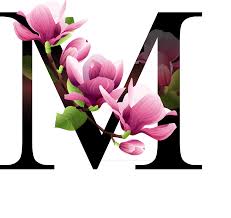 Check spelling or type a new query. Alfabeto Decorativo Flores Png Letter M Floral Design Clipart Large Size Png Image Pikpng
