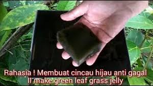 Resep cincau perdu anti gagal. Rahasia Membuat Cincau Hijau Anti Gagal Ii Make Green Leaf Grass Jelly Endang Mengge Youtube