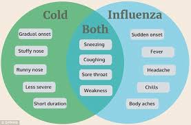 Image result for Fever Without Focus Red Flags