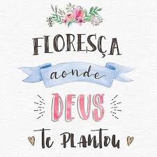 Bom Dia Lovelysss Comecando O Dia Com Essa Frase Que Faz Todo Sentido Vamos Florecer Onde Deu Frases Inspiracionais Frases E Mensagens Frases Inpiracao Subir finito y bajar grueso.