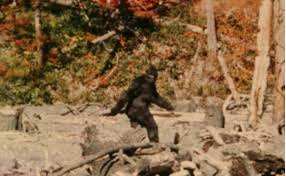 Meet the Bigfoot hunters of the Hudson Valley — who claim the beast is in our midst