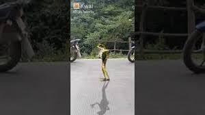 Sapinho Dancando Youtube Discover more posts about dancando. youtube