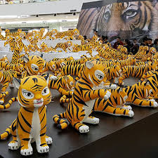 Since then, however, animal welfare organisations like the wwf and national geographic have come together to protect tigers. The World Celebrates World Tiger Day Wwf