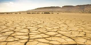 Resultado de imagen para clima desÃ©rtico