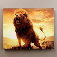 the king limited edition paint by numbers for adults shop hundreds of acrylic painting by numbers kits here uniq lion images lion pictures lion wallpaper