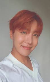 J Hope Love Yourself 承 Her Photocard Version L Hoseok Bts Concept Photo Hoseok Bts