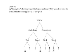 Charts For Masechess Kinim