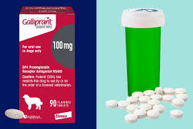 Image result for Gabapentin