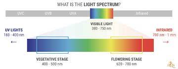 Many good quality full spectrum. Cannabis Cultivation The Light Spectrum And Ways To Raise Thc Levels Rqs Blog