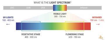 What light spectrum is best for flowering. Cannabis Cultivation The Light Spectrum And Ways To Raise Thc Levels Rqs Blog