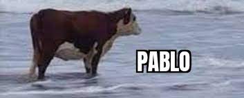 Pablo.(мем) pablo pablo meme juan horse meme juan. This Is Pablo Moooooo Memes