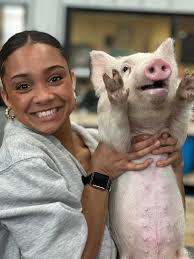 Mt. Vernon Township High School