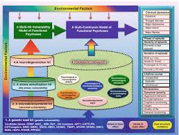Options to consider include a turkey going food shopping and planning and preparing meals with family members or friends can be fun. A Multi Target Drug Treatment In Schizophrenia And Schizoaffective Disorder Using Adjunctive Agents With Non D2 Mechanisms Of Action Springerlink
