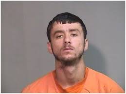 Wauconda man pleads guilty after Crystal Lake police find drugs, ammunition  during traffic stop