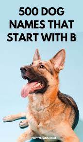 A cute female dog name for a black dog on one with markings that resemble blotches of ink. 500 Dog Names That Start With B Puppy Leaks