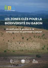 Image result for Allophylus lastoursvillensis