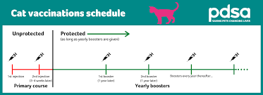 Cat Vaccines Pdsa