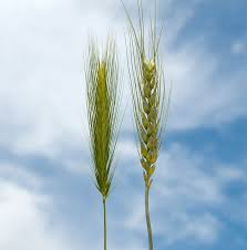 SAT, 22 OCT & SUN, 23 OCT 2022