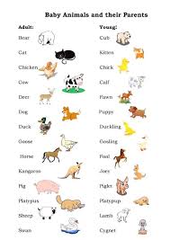This represents perhaps the most complete picture of the most common names in the united states. Male Female Young Animals In English Eslbuzz Learning English