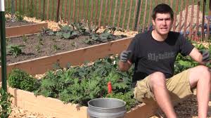 Uptake is inhibited by high p levels. How To Have A Weed Free Garden With No Work
