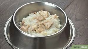 How To Prepare Chicken And Rice For Dogs 15 Steps With Pictures
