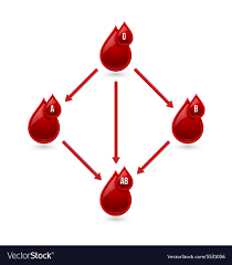 Red Blood Type Chart