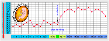 Temperatura Basal Embarazadas Com