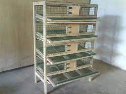 Check spelling or type a new query. Gambar Kandang Burung Puyuh Petelur Yang Ideal Miniatur Ini Dia Puyuh Jaya