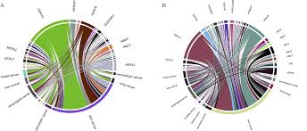 The element that corresponds with the cancer star sign is water. Plos One Investigation Of Somatic Single Nucleotide Variations In Human Endogenous Retrovirus Elements And Their Potential Association With Cancer