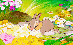 Dessin kawaii animaux petit lapin dessin manga dessin animé trucs aléatoires idées de personnage chouchou dessins mignons. Walt Disney Bambi Pan Pan Le Lapin Image Gif Anime