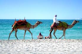 The water is warm, and the waves are very gentle as the beach is on a bay protected by the pearl. 15 029 Dubai Beach Photos Free Royalty Free Stock Photos From Dreamstime