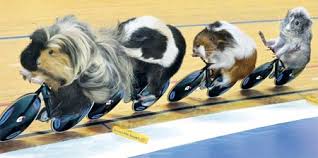 Pin On Sports Olympics
