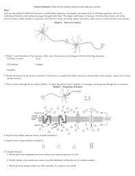 Pogil activities for ap biology answer key. 31 Draw A Neuron And Label The Parts Labels Database 2020