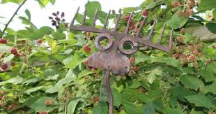 1 20 jahre aktion offener garten: Lange Nacht Der Garten Auch Eine Ahrensburgerin Macht Mit Ahrensburg Portal