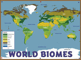 Printable World Biome Map Coloring Worksheet Gallery For World Biome Map Biomes Rainforest Biome World