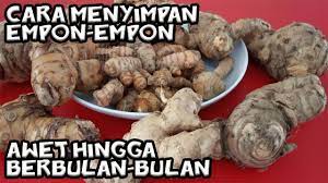 Cara Simpan Laos Kunyit Jahe Kencur Kunci Temulawak Agar Awet Hingga Berbulan Bulan Youtube Kunyit Jahe Resep Masakan