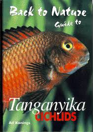 Cichlid News Back-to-Nature Tanganyika cichlids