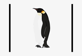 13 emperor penguin white background premium high res photos. King Penguin Clipart Real Transparent Background Emperor Penguin Png Transparent Png 640x480 Free Download On Nicepng