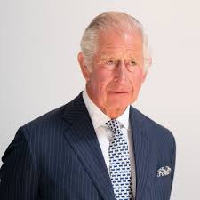 Prince Charles is “Completely Bewildered” by Prince Harry, Friend Says