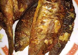 Cara goreng ikan mas biar garing. Cara Gampang Membuat Ikan Mas Goreng Sambel Cikur Yang Lezat Sekali Sweetbuyouts