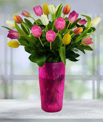 'peppermint stick' is a variety of species tulip (tulipa clusiana) that features alternating red and white petals, reminiscent of the stripes on a peppermint candy. Spring Tulips Bouquet Online Florist Avas Flowers