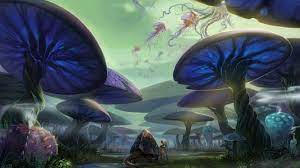 Scopri ricette, idee per la casa, consigli di stile e altre idee da provare. Fantasy Mushroom Wallpapers Top Free Fantasy Mushroom Backgrounds Wallpaperaccess
