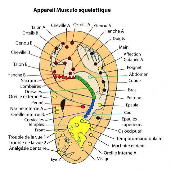 Auriculothérapie par laser : sevrage tabagique et addictions